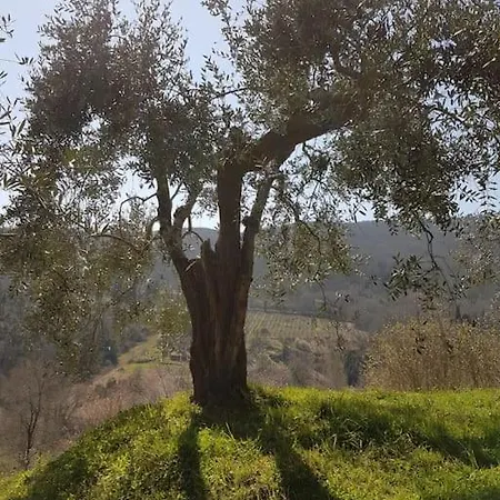 شاليه Un Piccolo Paradiso Nel Chianti Piu Selvaggio