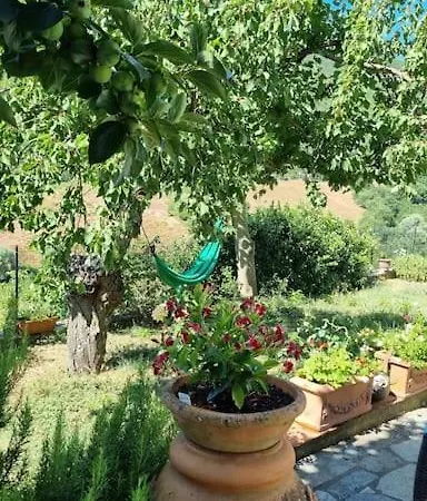 Chalet Un Piccolo Paradiso Nel Chianti Piu Selvaggio Greve in Chianti