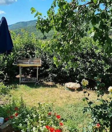 Chalet Un Piccolo Paradiso Nel Chianti Piu Selvaggio Greve in Chianti