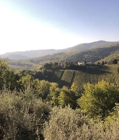 Un Piccolo Paradiso Nel Chianti Piu Selvaggio Greve in Chianti